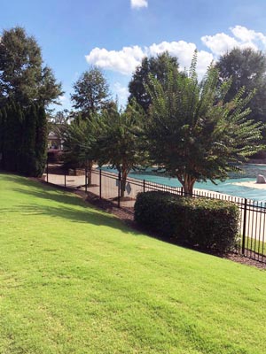 Before image $99 Design