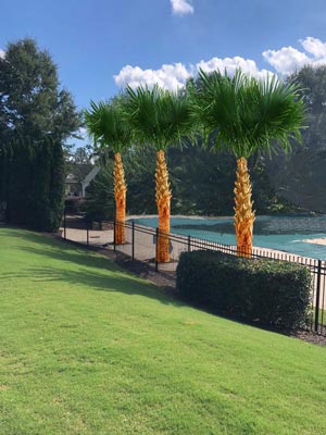 Atlanta Palms Final Results Alpharetta GA Morgan