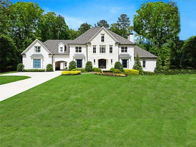 Doubleheader palm tree landscaping - Atlanta Palms