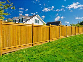 Dress The Fence - palm tree landscaping - before- Atlanta Palms