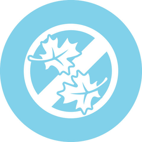 No fall leaves
