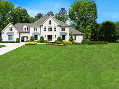 Lone Wolf palm tree landscaping - before- Atlanta Palms