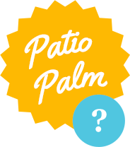 Patio Palm Tooltip
