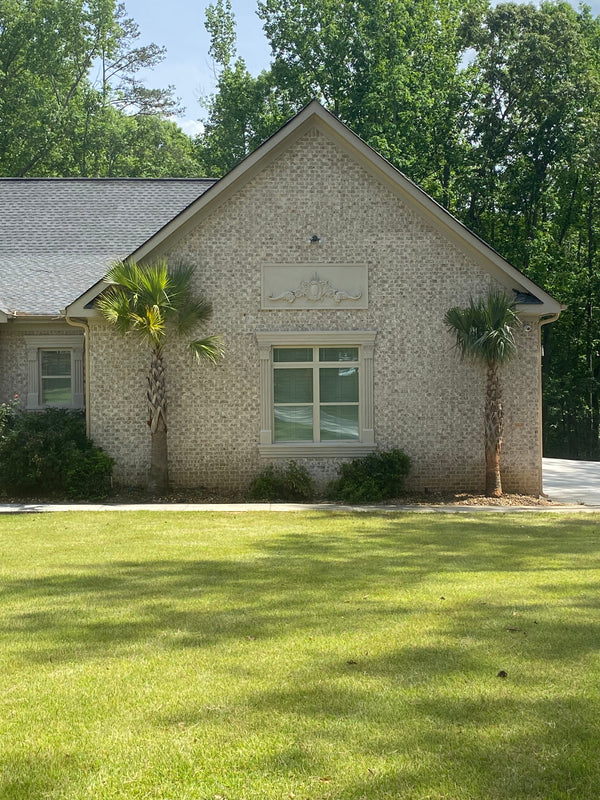 Lejon W. in Fayetteville, GA - Sabal Palmetto