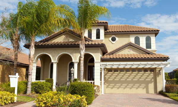 5 Things To Consider When Choosing a Palm for Your Yard