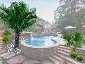 Pool Oasis - palm tree landscaping - after - Atlanta Palms