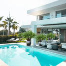 Pygmy Date Palm Tree