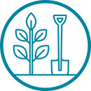 Perfect Palm Maintenance Services